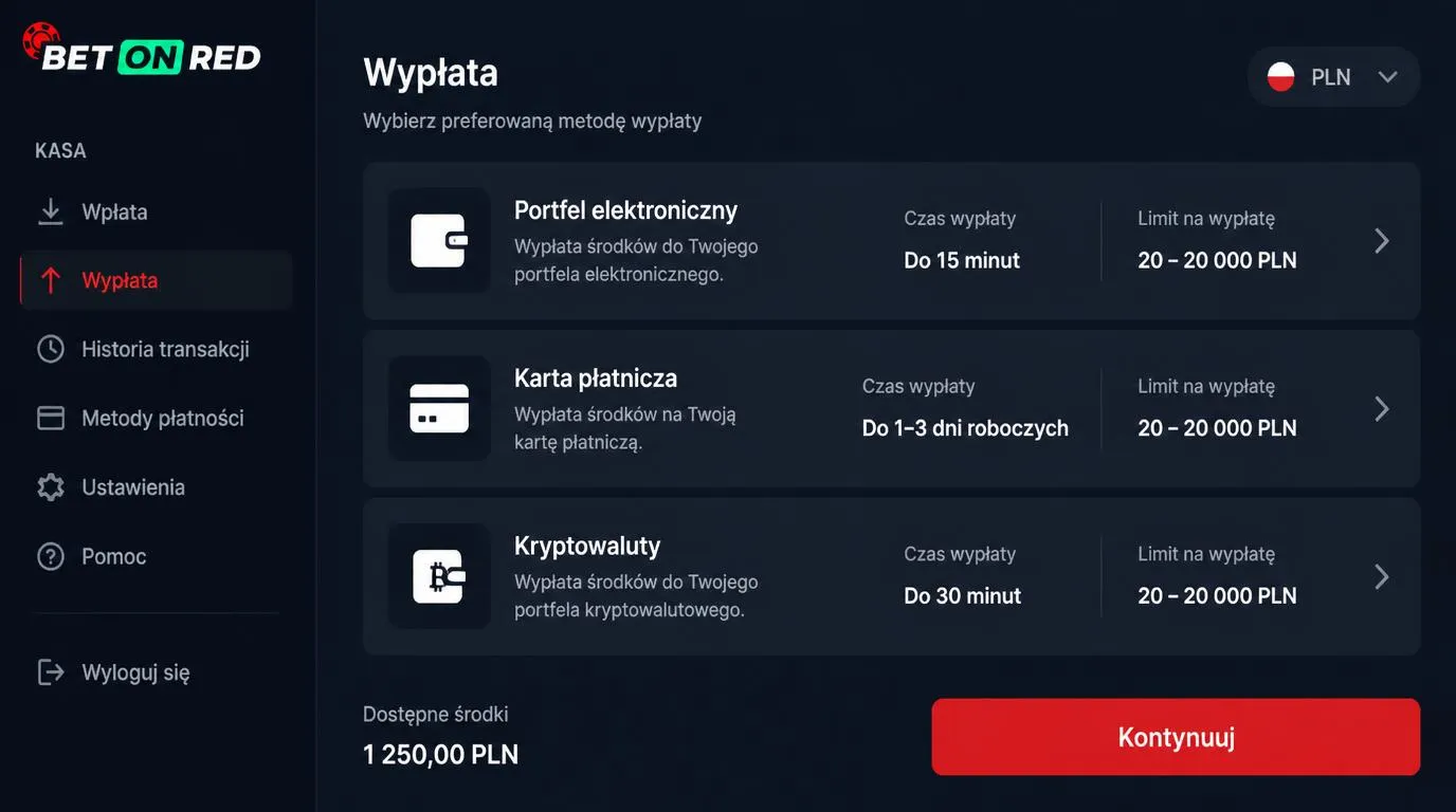 Ekran kasy z wyborem portfela elektronicznego, karty i kryptowaluty oraz podglądem czasu wypłaty